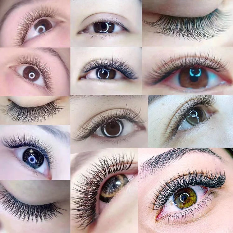 y shape lash y shape lash