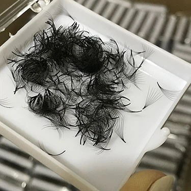 7d 500 loose lash fans