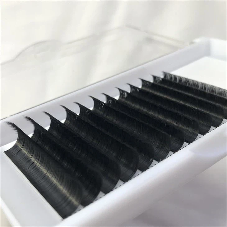 Easy Fanning Lash Trays
