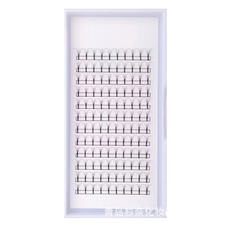 Lange Stemy Eyellash Extensions