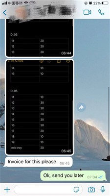 Øjenvippeforlængelse ordre fra Amerika